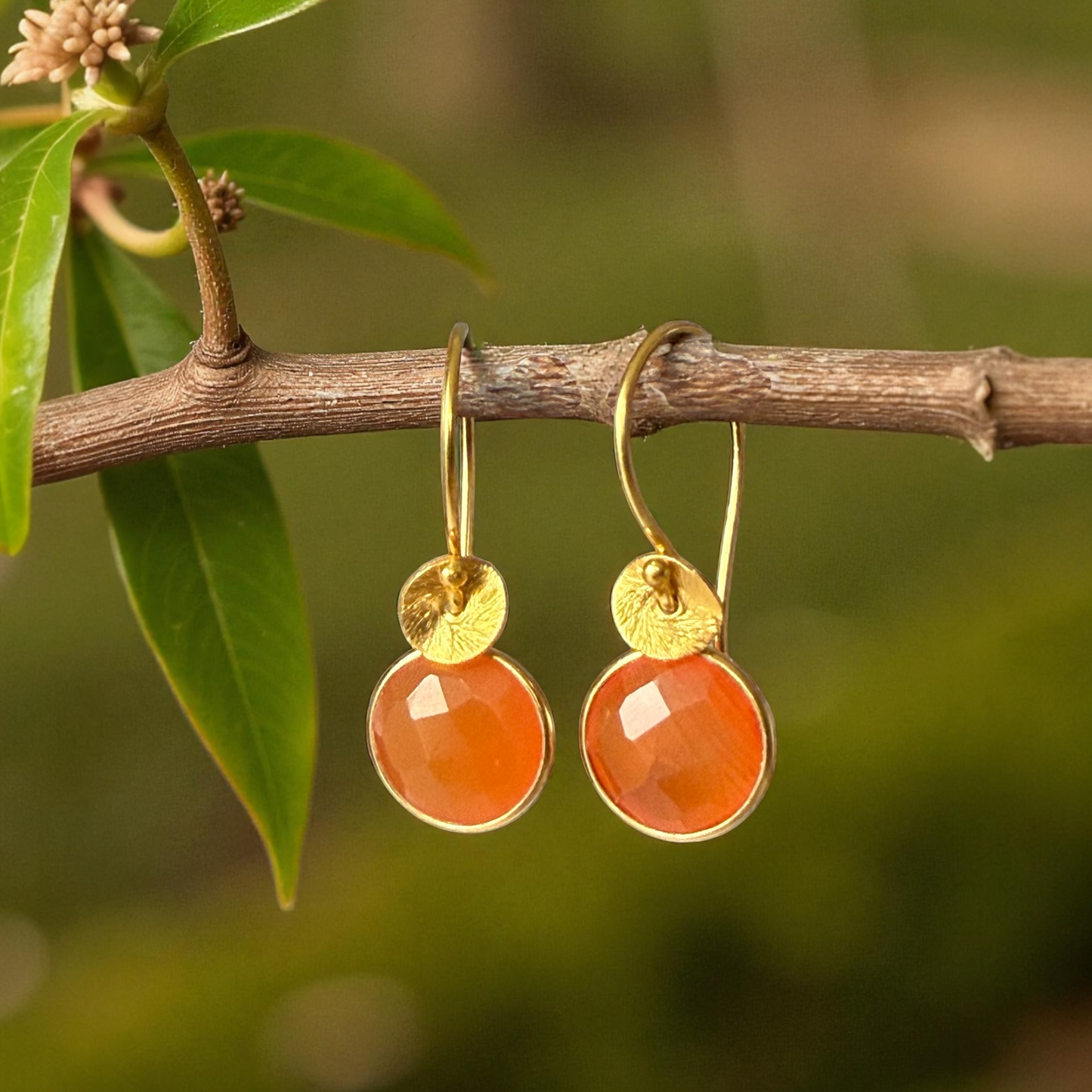 Carnelian Gemstone Earrings in Gold Vermeil